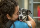 Feira reúne adoção de animais, vacinação e bazar solidário em Cachoeiro