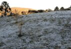 Frio de 1,3°C transforma paisagem de famosa cidade turística
