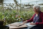 Curta capixaba “Orquidário” estreia com entrada gratuita
