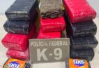 Encomenda com 6 kg de maconha leva suspeito à prisão em Guarapari