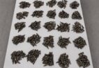 Mais de 600 pinos de cocaína e 2 kg de maconha são apreendidos no ES