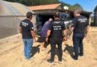 Foragido desde 2023 é preso na zona rural de Castelo