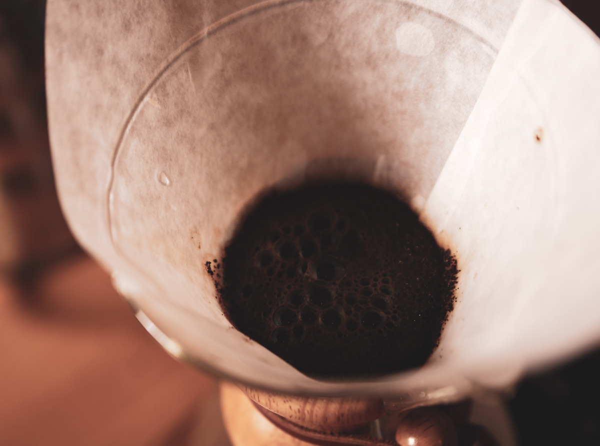 Borra de café vira fertilizante orgânico