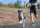 Cachoeiro realiza 1ª corrida pet friendly; veja como participar