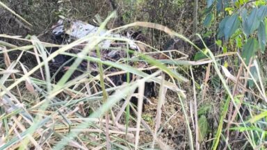Motorista de 29 anos morre após carro cair em ribanceira em Ibatiba