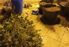 “Fábrica de skunk” é desmontada pela polícia na Grande Vitória
