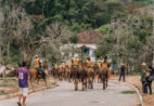 17ª Expedição Tropeira passa por Muniz Freire a caminho da RuralturES