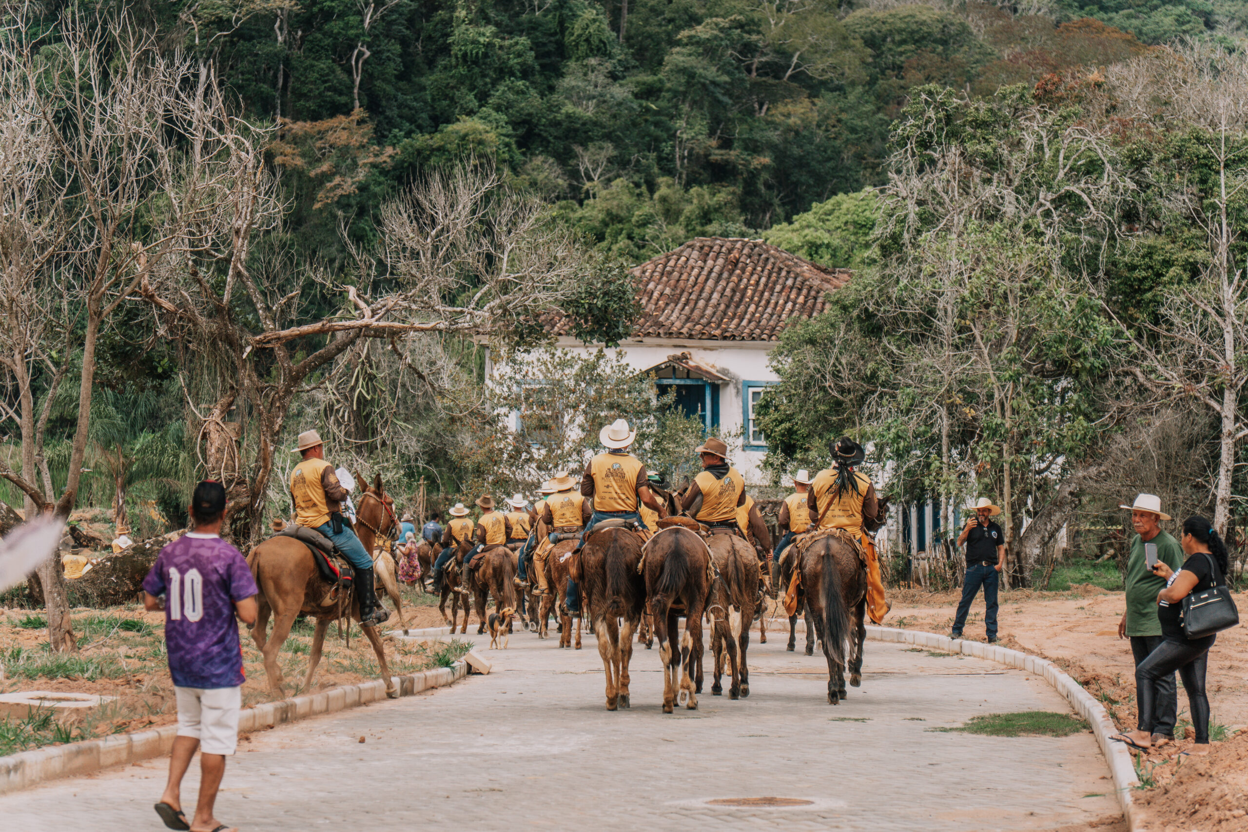 Expedição Tropeira em Muniz Freire