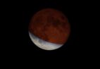 Eclipse lunar ‘quase total’ será visível no Brasil nesta semana; saiba como observar
