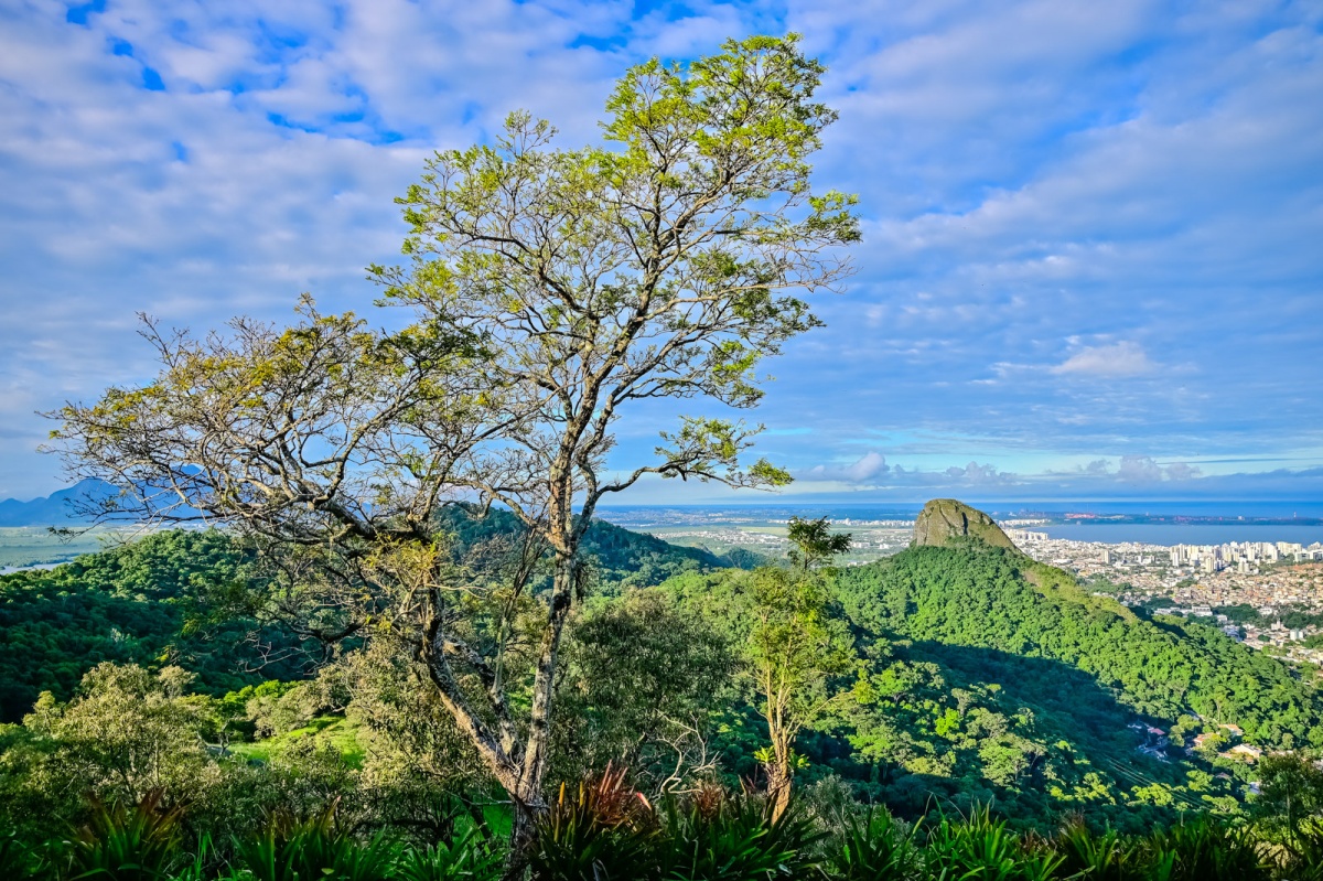 Parque da Fonte Grande