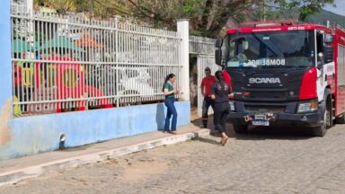 Gata é resgatada após ficar três dias presa em tubulação em Muniz Freire