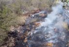 Incêndio criminoso atinge vegetação às margens da ES-490 em Marataízes