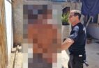 Jovem é preso após atirar contra policiais após ameaçar ex-mulher em Ibitirama