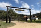 Instituto Chico Mendes esclarece mortes de macacos na Floresta Nacional de Pacotuba