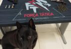 Cão farejador encontra revólver escondido embaixo de cômoda em Domingos Martins