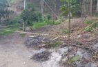 Explosivos abandonados em estrada de chão mobilizam Esquadrão Antibombas em Alfredo Chaves