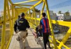 Atropelamentos deixam quase 500 mortos nas BRs em seis meses