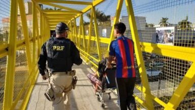 Atropelamentos deixam quase 500 mortos nas BRs em seis meses