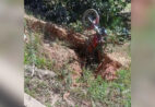 Motociclista morre após acidente na BR-262, no Caparaó