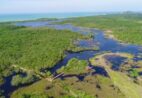 Parque no ES reúne lagoas, praias e trilhas em meio à natureza preservada