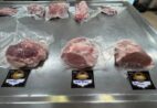 Suínos gourmet viram aposta da Ufes para gerar renda no Caparaó