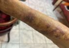 Filho é preso suspeito de agredir e extorquir mãe idosa no Espírito Santo