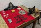 Cadela Kyara fareja drogas e leva PM a esconderijos no bairro Zumbi em Cachoeiro