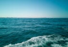 Você sabia que o Brasil não tem mar? Entenda a diferença entre mar e oceano