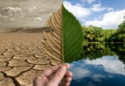 El Niño aumenta riscos à saúde; veja como o fenômeno pode afetar a população