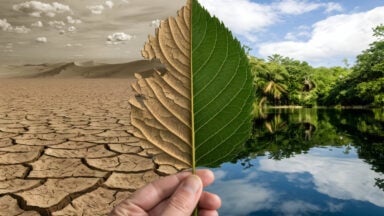 El Niño aumenta riscos à saúde; veja como o fenômeno pode afetar a população