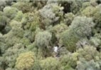 Cantor Rick: veja como ficou o helicóptero após a queda