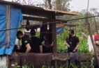 Menina de 2 anos é morta a golpes de martelo pelo irmão enquanto brincava