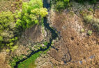 Espírito Santo segue em atenção por efeitos do El Niño e avanço da seca
