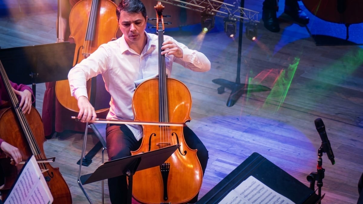 Festival de violoncelos