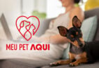 “Meu Pet Aqui”: compartilhe a história do seu melhor amigo no aquinoticias.com
