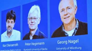 Nobel de Medicina 2026: como a luz ajuda a desvendar o cérebro