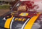 Líder do Comando Vermelho na Bahia é preso após atirar contra PRF em Mimoso do Sul
