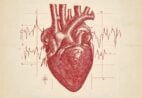 Brasil registra 50 mortes por doenças cardiovasculares por hora