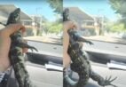 Lagarto é resgatado de residência em Cachoeiro e solto em área de mata